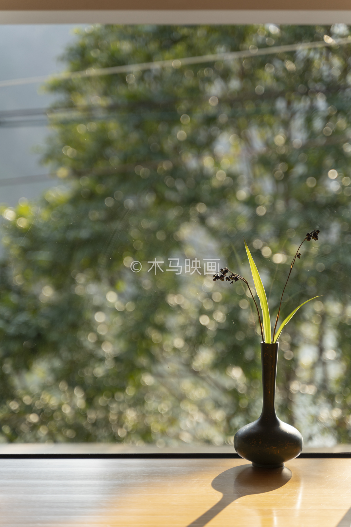 {gallery: 'gal1', smallimage: '/upload/image/202404/6628a69c20a59.jpg',largeimage: '/upload/image/202404/6628a69c20a59.jpg'}