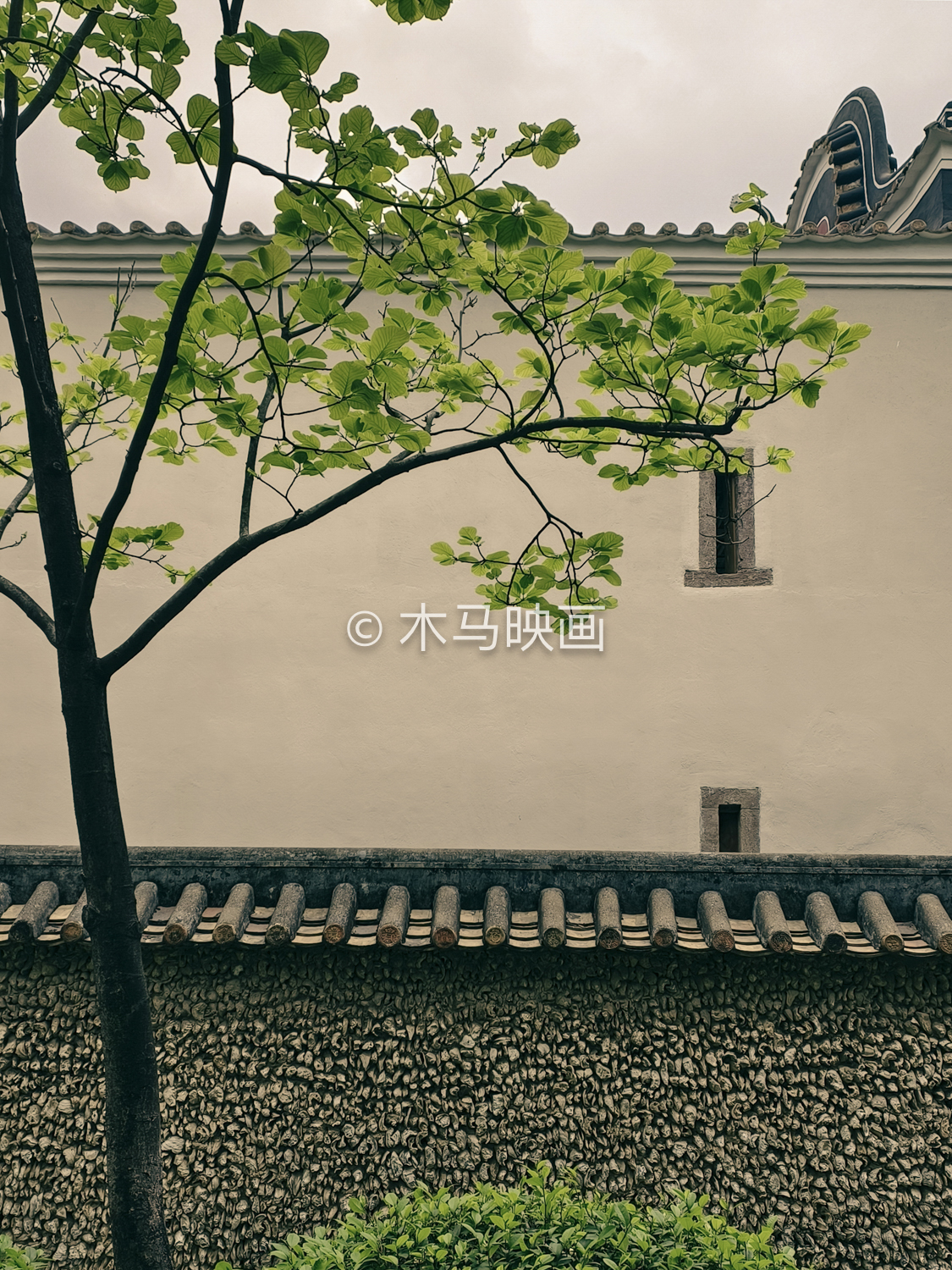 {gallery: 'gal1', smallimage: '/upload/image/202404/sdbjjl025.jpg',largeimage: '/upload/image/202404/sdbjjl025.jpg'}