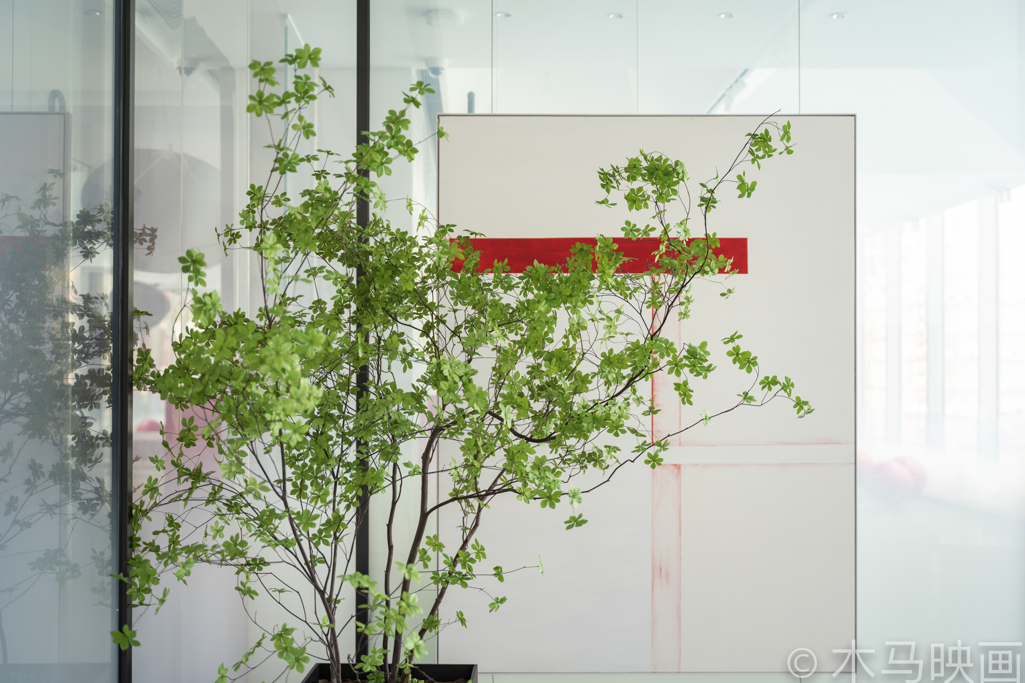 {gallery: 'gal1', smallimage: '/upload/image/202404/sdyjgz_QIU3439.jpg',largeimage: '/upload/image/202404/sdyjgz_QIU3439.jpg'}