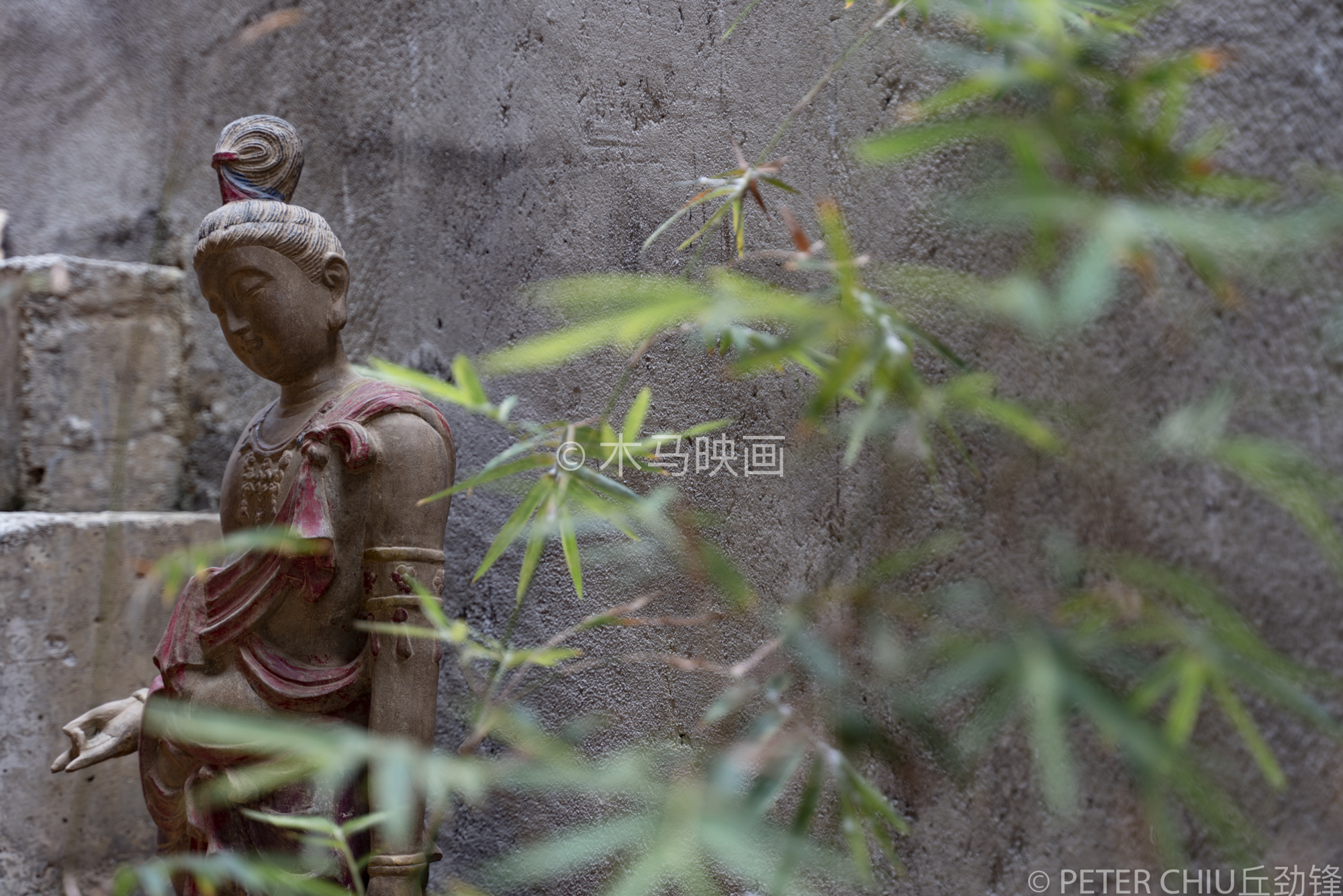 {gallery: 'gal1', smallimage: '/upload/image/202404/ymsfcsQIU04304.jpg',largeimage: '/upload/image/202404/ymsfcsQIU04304.jpg'}